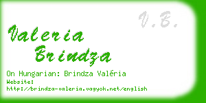 valeria brindza business card