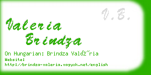 valeria brindza business card